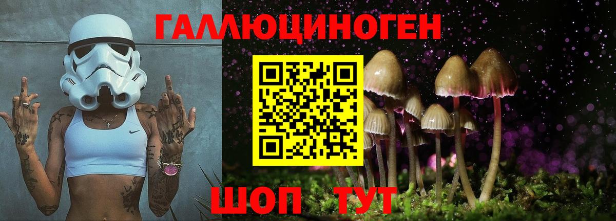 Псилоцибиновые грибы Psilocybe Минеральные Воды